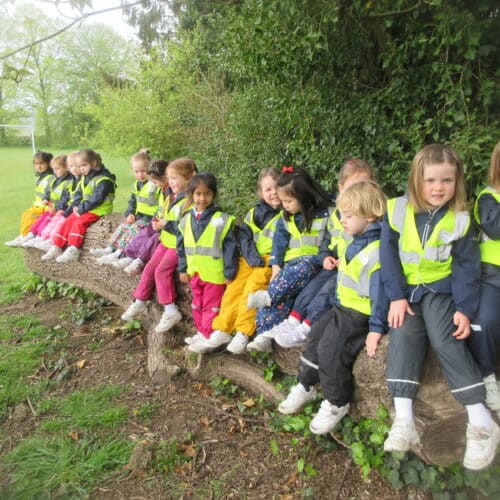 students sat on a log